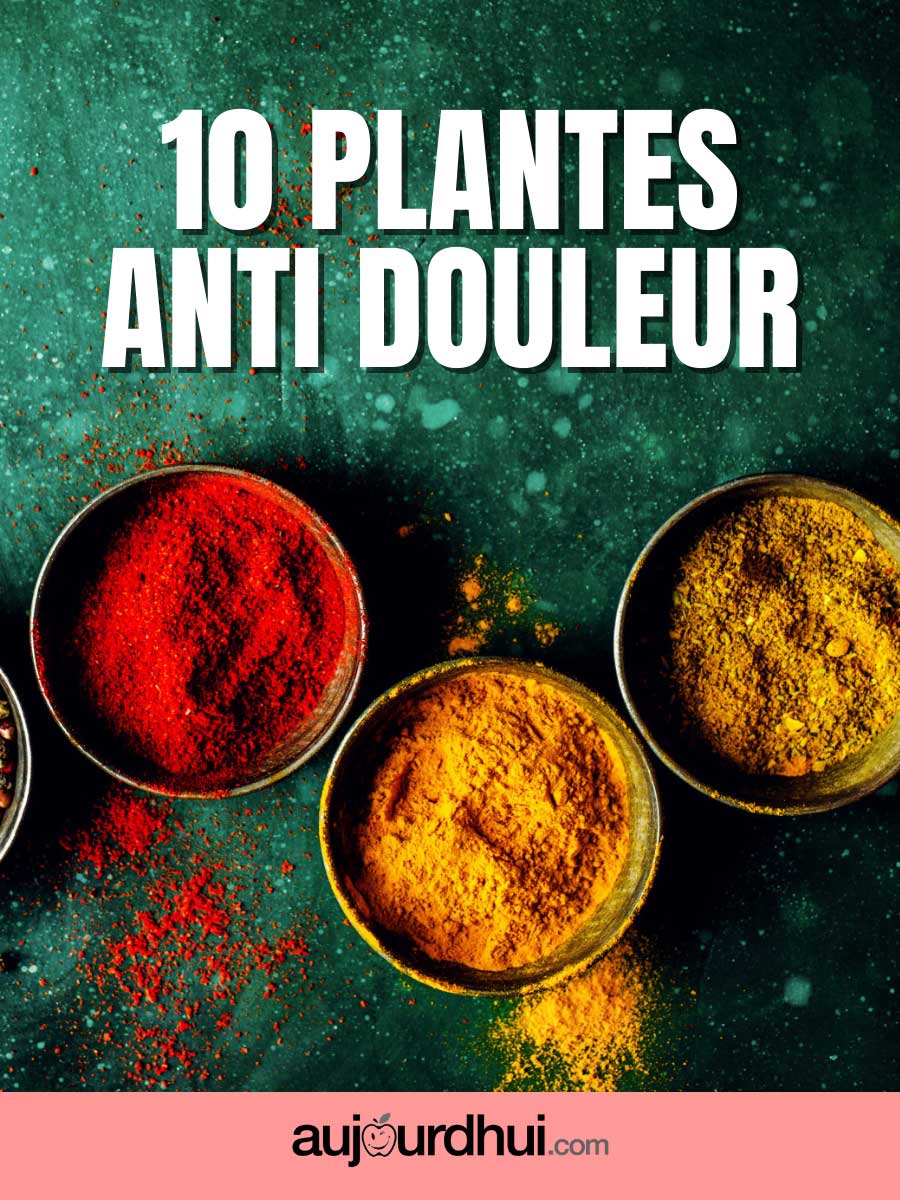Top 10 des plantes anti douleur