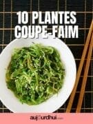 plantes-coupe-faim-900