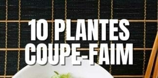 plantes coupe-faim