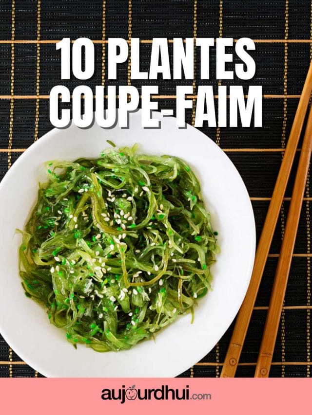 Top 10 des plantes coupe-faim