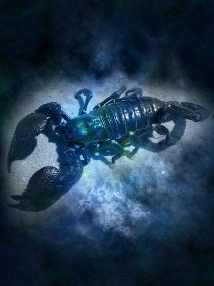 femme scorpion en amour
