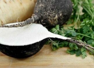 bienfaits du radis noir