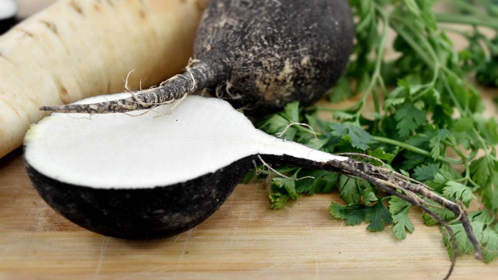 radis-noir-1000 bienfaits du radis noir