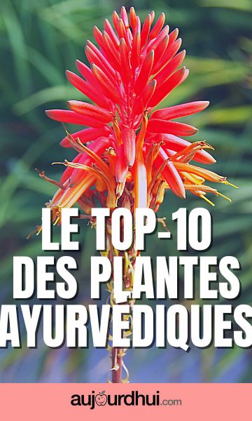 Top 10 des plantes ayurvédiques