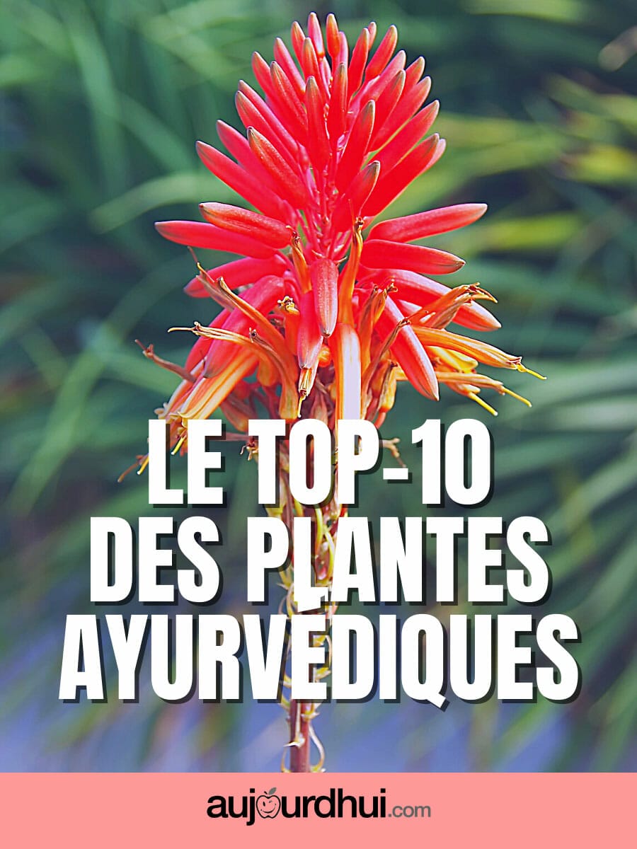 Top 10 des Plantes ayurvédiques