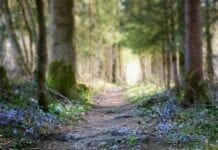 Votre chemin de vie selon l’astrologie Astrologie du jour