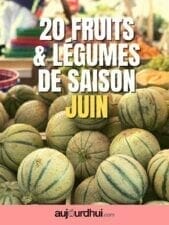 melons fruits et légumes de juin