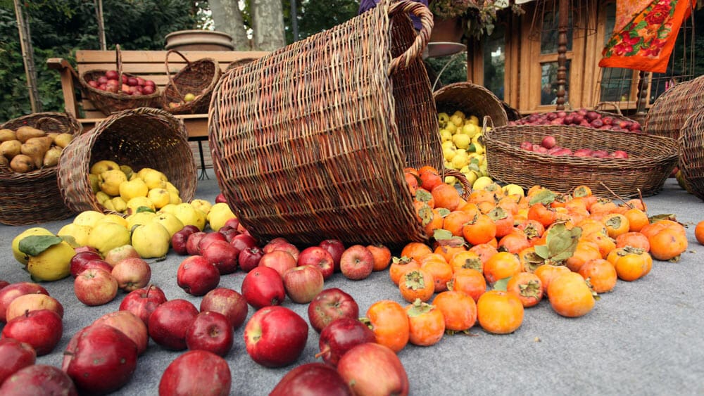 calendrier des fruits et légumes de saison