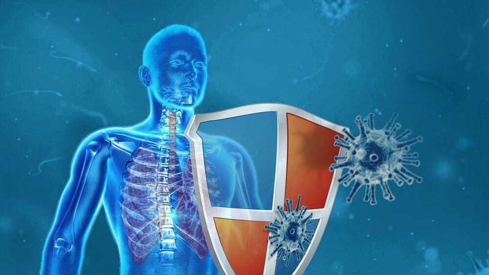 Meilleur vaccin covid 19