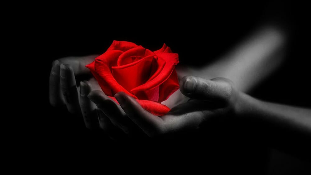 femme taureau en amour