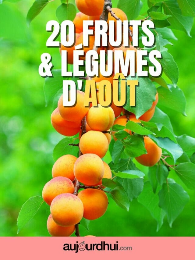 20 fruits et légumes d&rsquo;août