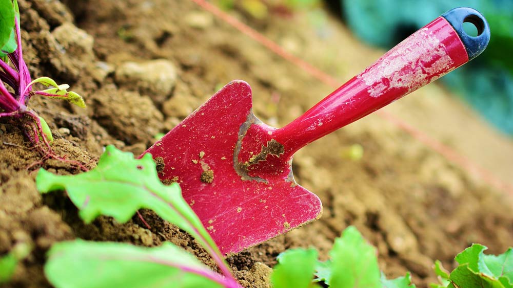 agir pour l'environnement