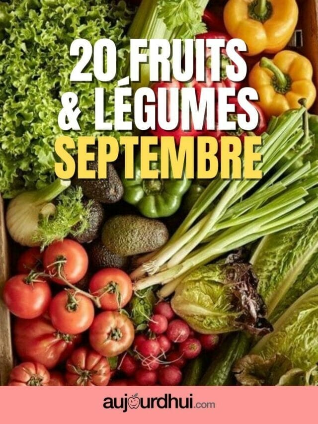 20 fruits et légumes de septembre