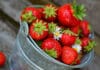 bienfaits des fraises