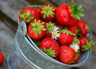 bienfaits des fraises