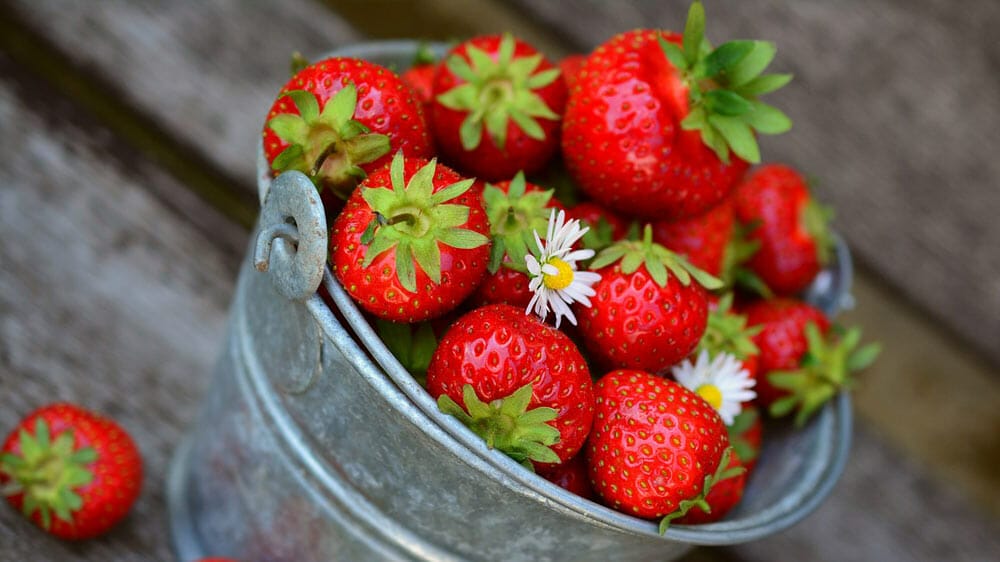 bienfaits des fraises