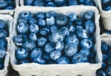 bienfaits de la myrtille