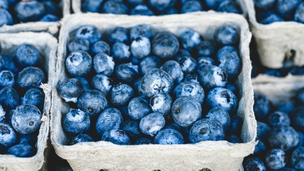 bienfaits de la myrtille