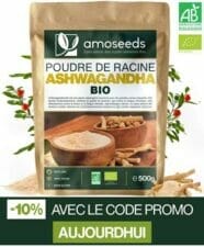 Les bienfaits de l'ashwagandha bio