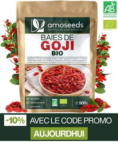 liste des superaliments : baies de goji