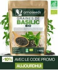 bienfaits du basilic Bio