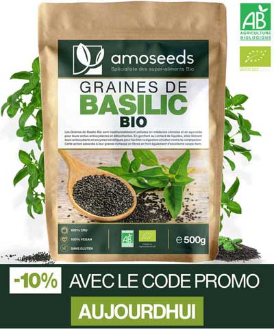 bienfaits du basilic