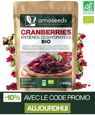 bienfaits de la cranberry