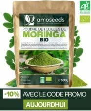 bienfaits du moringa