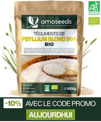 bienfaits du psyllium blond Bio