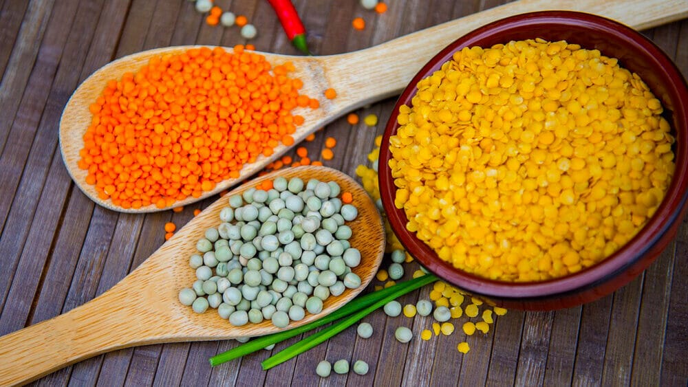 lentilles