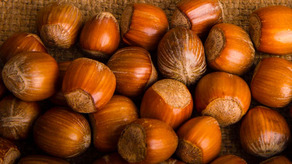 bienfaits des noisettes