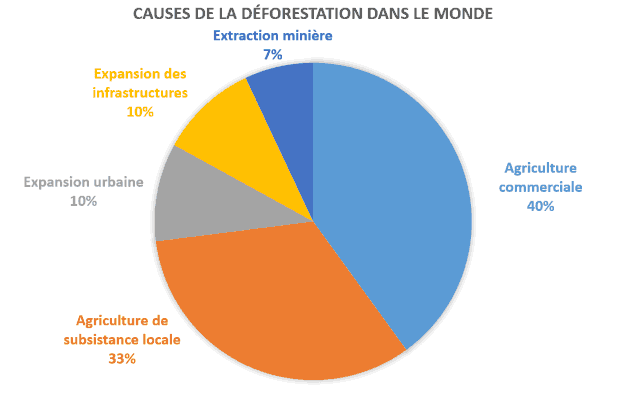 déforestation