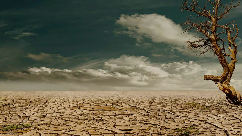 Quelle sont les conséquences du réchauffement climatique sur les sols ?