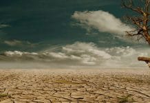 Quelle sont les conséquences du réchauffement climatique sur les sols ?