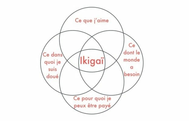 diagramme ikigai 624x398 1