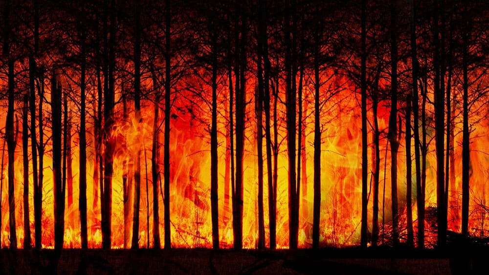 réchauffement de la planète