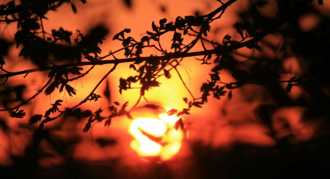 femme bélier horoscope 2022, les signes de feu