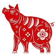 cochon-220