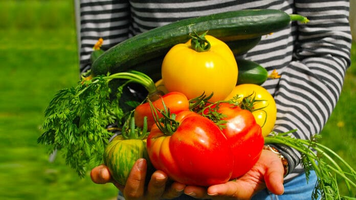 manger des fruits et légumes de saison, fruits et légumes locaux