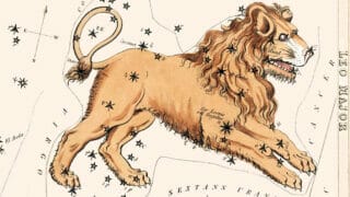 lion-1000