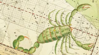scorpion-1000
