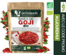 Ads300x250-baiesdegoji