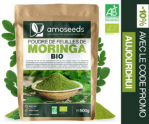 Ads300x250-moringa