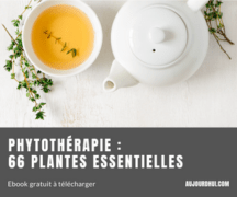 Ads300x250-phytotherapie