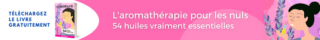 Ads728x90-aromatherapie