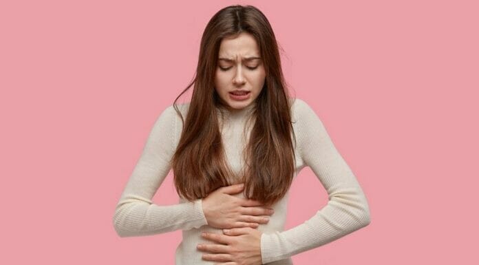 plantes-pour-la-digestion-1000 plantes pour la digestion