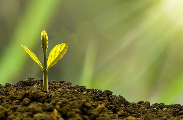 7 idées simples pour se reconnecter à la nature Comment se reconnecter à la nature