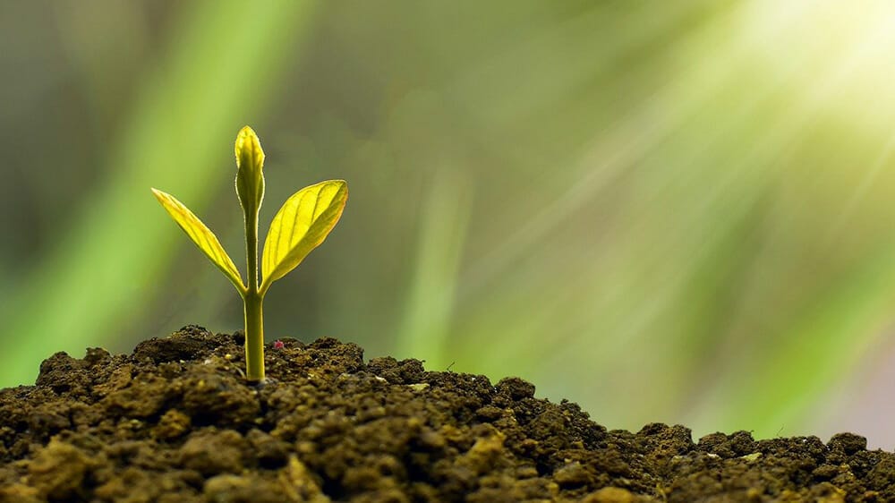 Comment se reconnecter à la nature