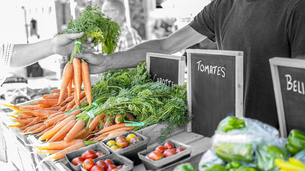 alimentation durable