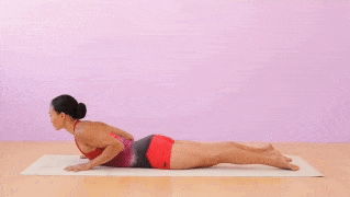 cobra LA POSTURE DU COBRA